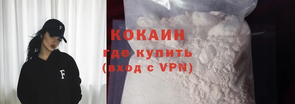 ПСИЛОЦИБИНОВЫЕ ГРИБЫ Тайга