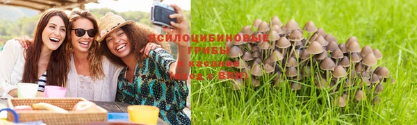 ALPHA PVP Алзамай