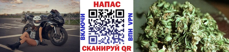купить сайты Аргун Каннабис тримм